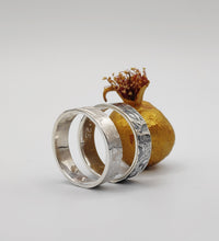 Load image into Gallery viewer, Alianzas Alhambra
